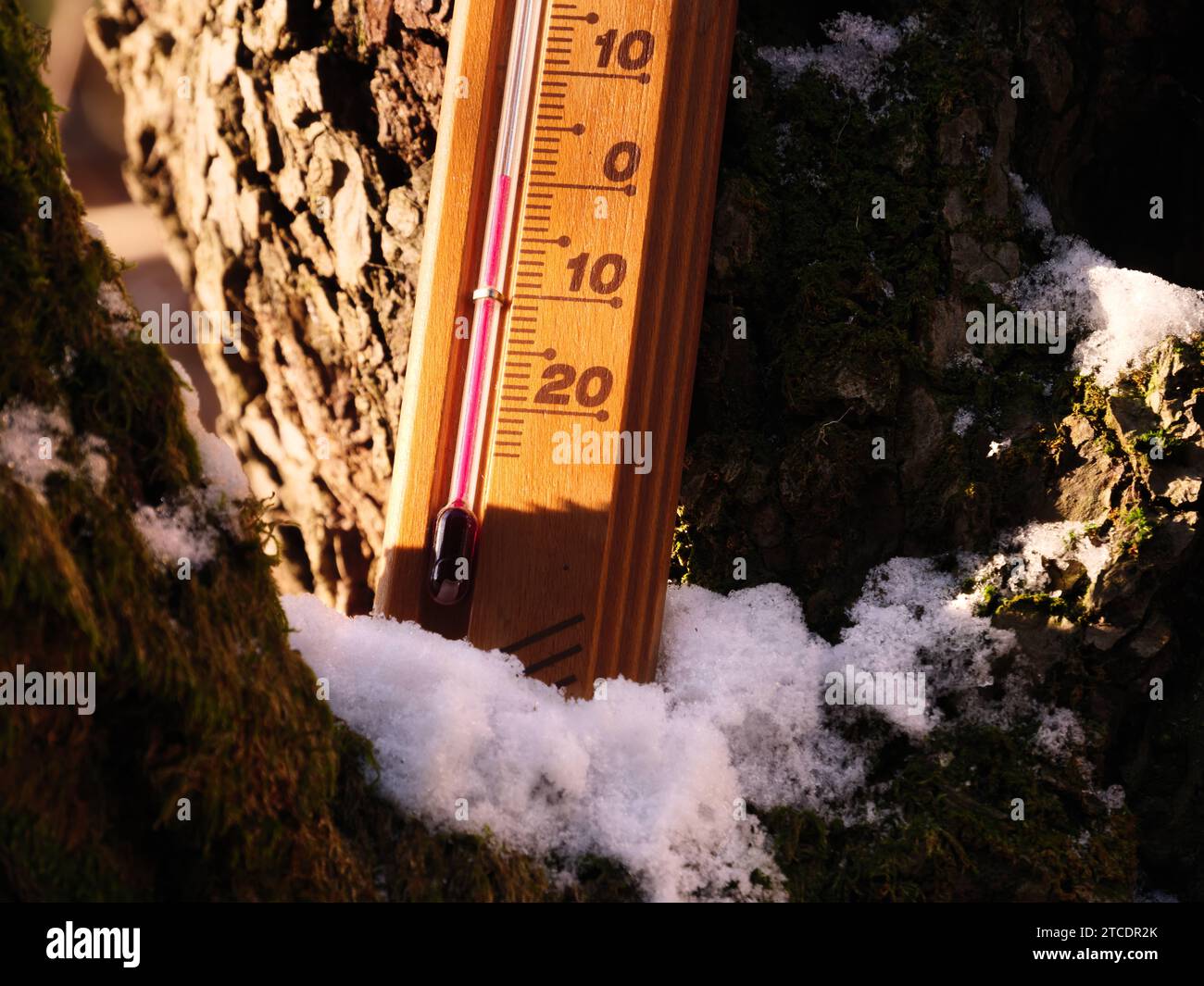 Ein Wetterthermometer zeigt eine niedrige Kälte von 0 Grad Celsius an, während der Weihnachtsfeier im Dezember, der Winterwettersaison, des weißen Schnees, des Baumes Stockfoto