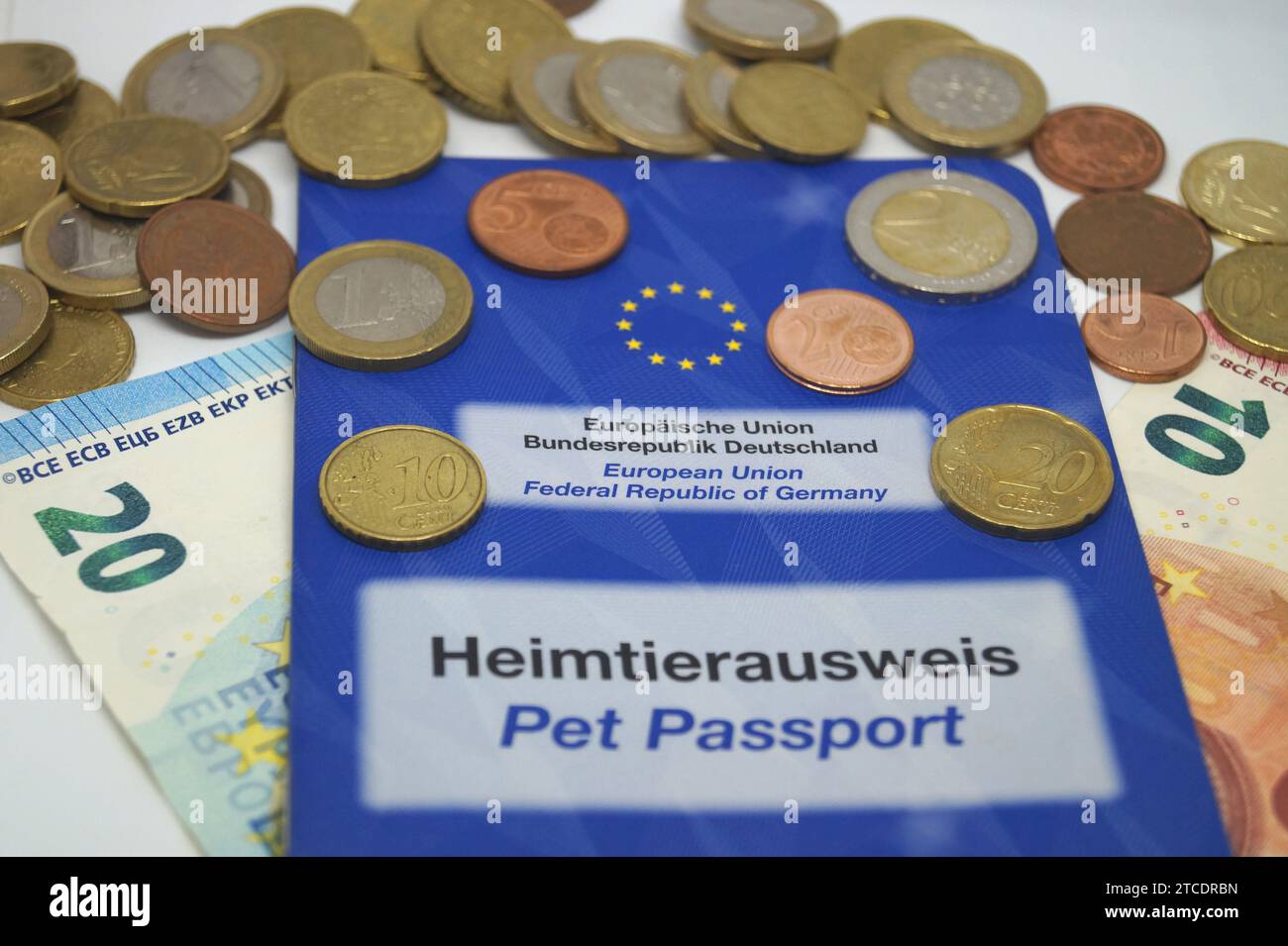 Tierpass und Geld, Symbolbild Stockfoto