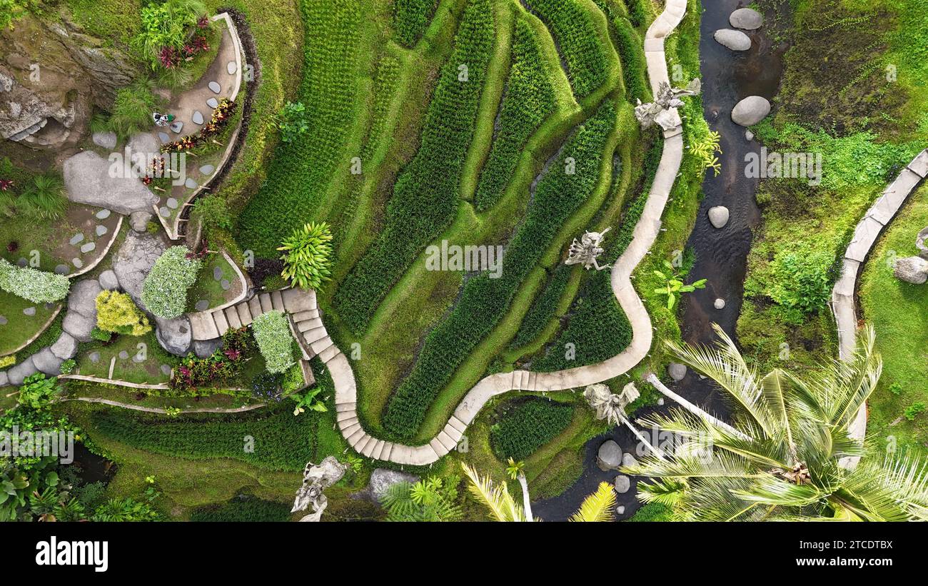 Ein Blick aus der Vogelperspektive auf eine grüne Landschaft mit Wegen und Sträuchern Stockfoto