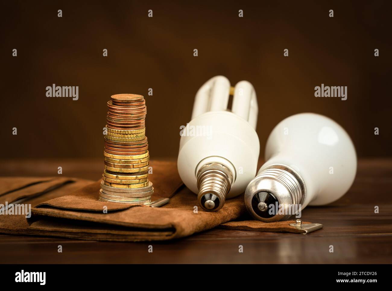 Glühbirne und Geldmünzen. Banner für Energieeinsparungen, Energieeffizienz oder Energiekrise. Glühlampenwechsel. Stockfoto