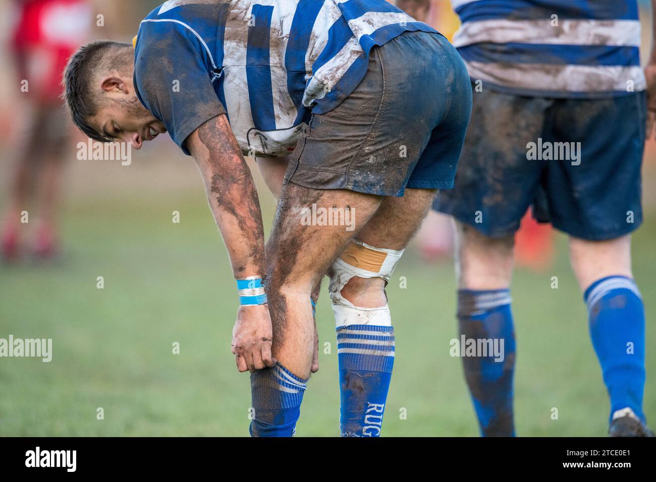 Schlammig und schmutzig Beine der britischen Bewunderer Rugby Union Spieler. Stockfoto