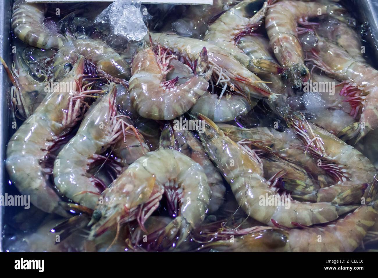 Meeresgeschenke (Meeresgarnelen). Verschiedene Meeresfrüchte auf den Märkten Südostasiens, den sogenannten „Feuchtmärkten“. Thailand Stockfoto