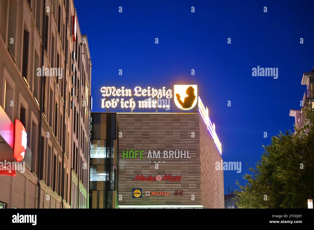 Historische Leuchtschilder „Ich lobe mein Leipzig“ (Goethe) und „Welcome to Leipzig“ in vier Sprachen auf den Dächern der Höfe am Brühl in Leipzig Stockfoto
