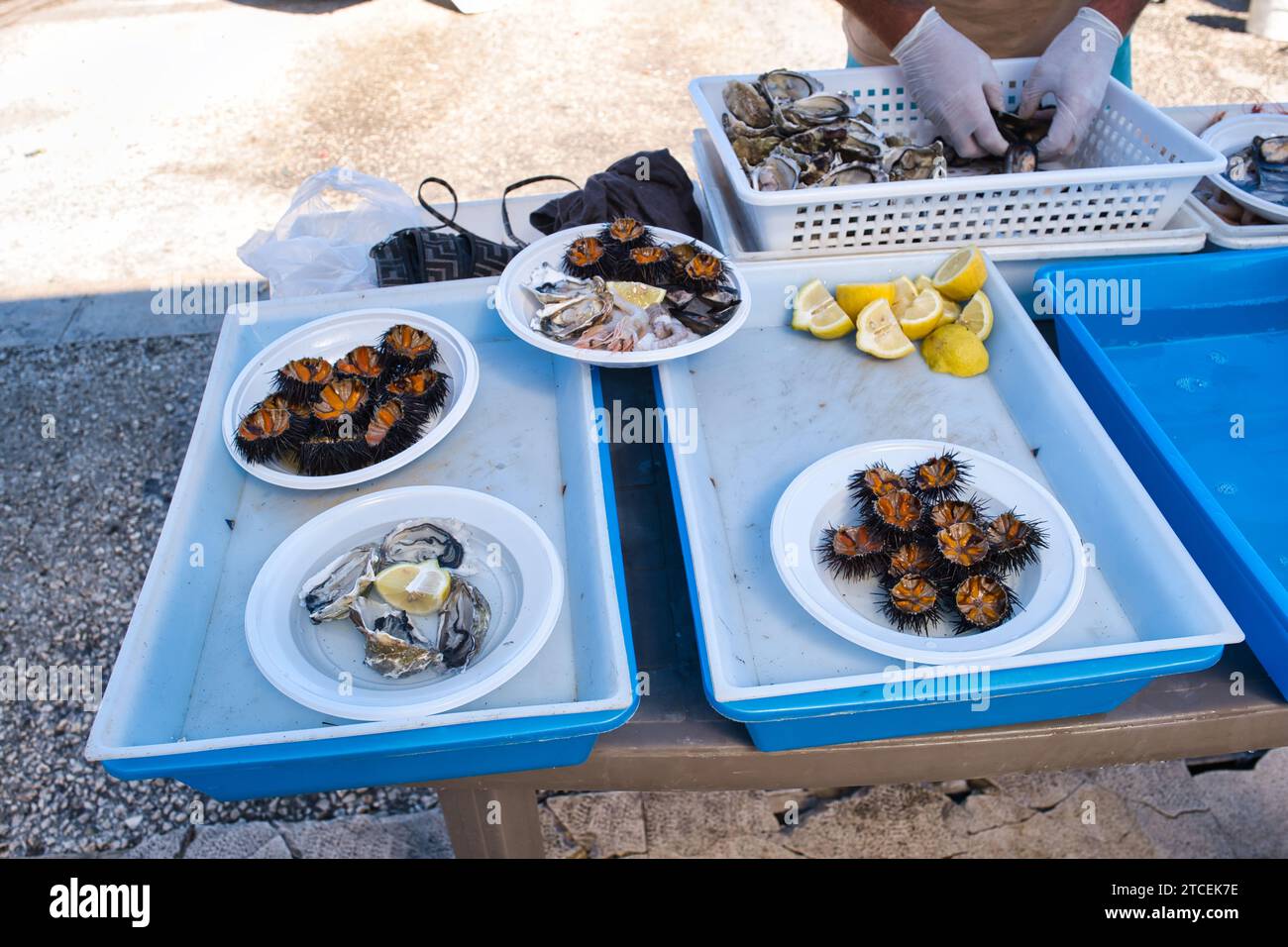 Nahaufnahme der verzehrfertigen Meeresfrüchte auf dem Open Air Fischmarkt in Bari Stockfoto