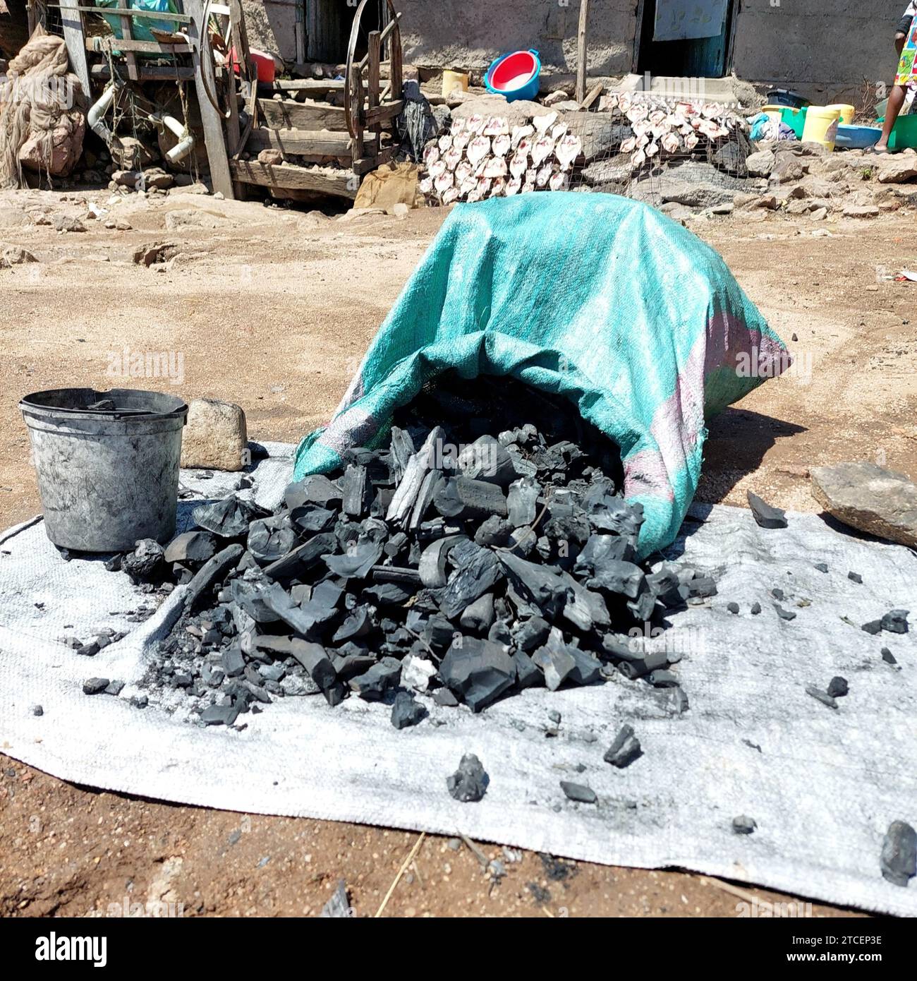 © PHOTOPQR/LE PARISIEN/Frédéric Mouchon ; Ndeda ; 06/11/2023 ; A défaut d'électricité pour cuire ses aliments et chauffer leurs habitations, de nombreux habitants de Ndeda continuent à couper du bois pour produire du charbon. Seule la moitié des habitants de l'île EST reliée au réseau électrique solaire Environnement, le Miracle kényan : avec l'énergie solaire, le saut dans la modernité de l'île de Ndeda Sur le lac Victoria (Kenia), l'île de Ndeda EST passée depuis cinq ans du charbon de bois et de la lampe à pétrole à l'électricité d'origine solaire. UN saut dans la modernité pour ses 5 00 Stockfoto