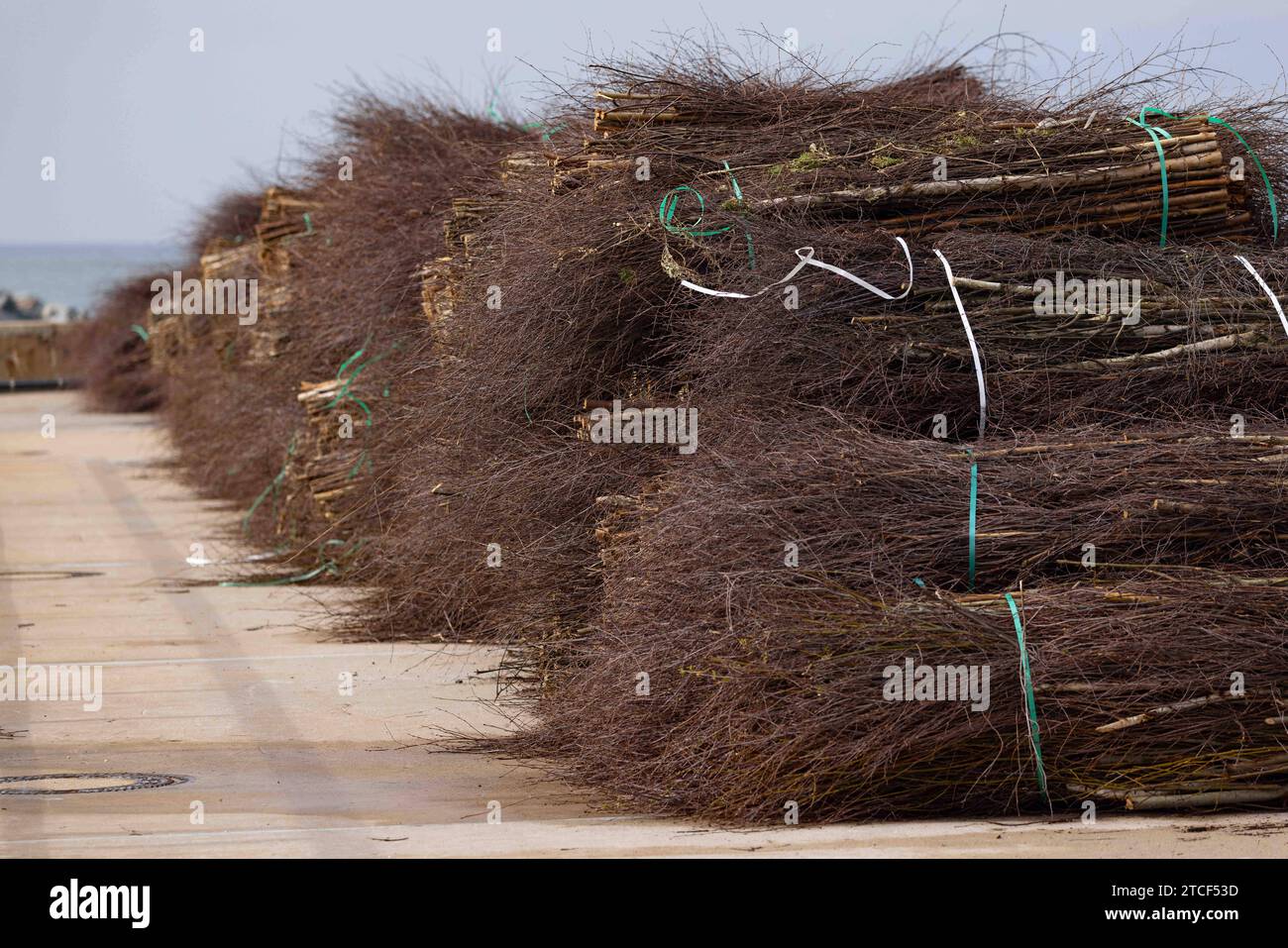 Helgoland, Deutschland 11. April 2023: Windschutz aus Reisig für den Strand auf Helgoland. Schleswig - Holstein *** Helgoland, Deutschland 11 April 2023 Windschutz aus Reisig für den Strand am Helgoland Schleswig Holstein Copyright: XFotostandx/xFreitagx Stockfoto