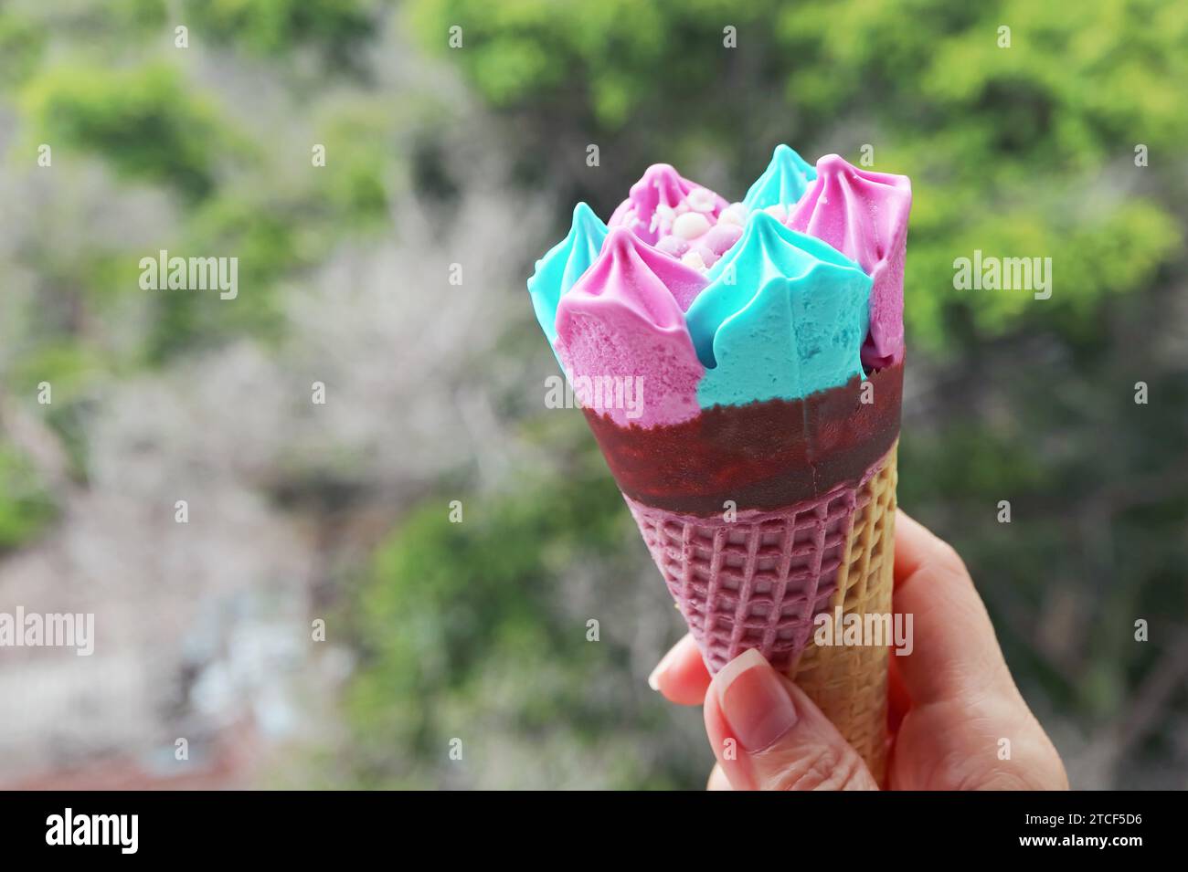 Hand hält einen rosa und blauen Eiskegel mit verschwommenem grünem Laub im Hintergrund Stockfoto
