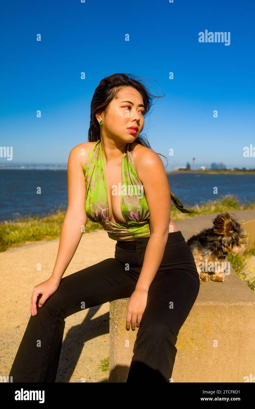 Wind geweht, schöne kurvige athletische asiatische Frau und Yorkie Dog, die in der Nähe der San Francisco Bay sitzen Stockfoto