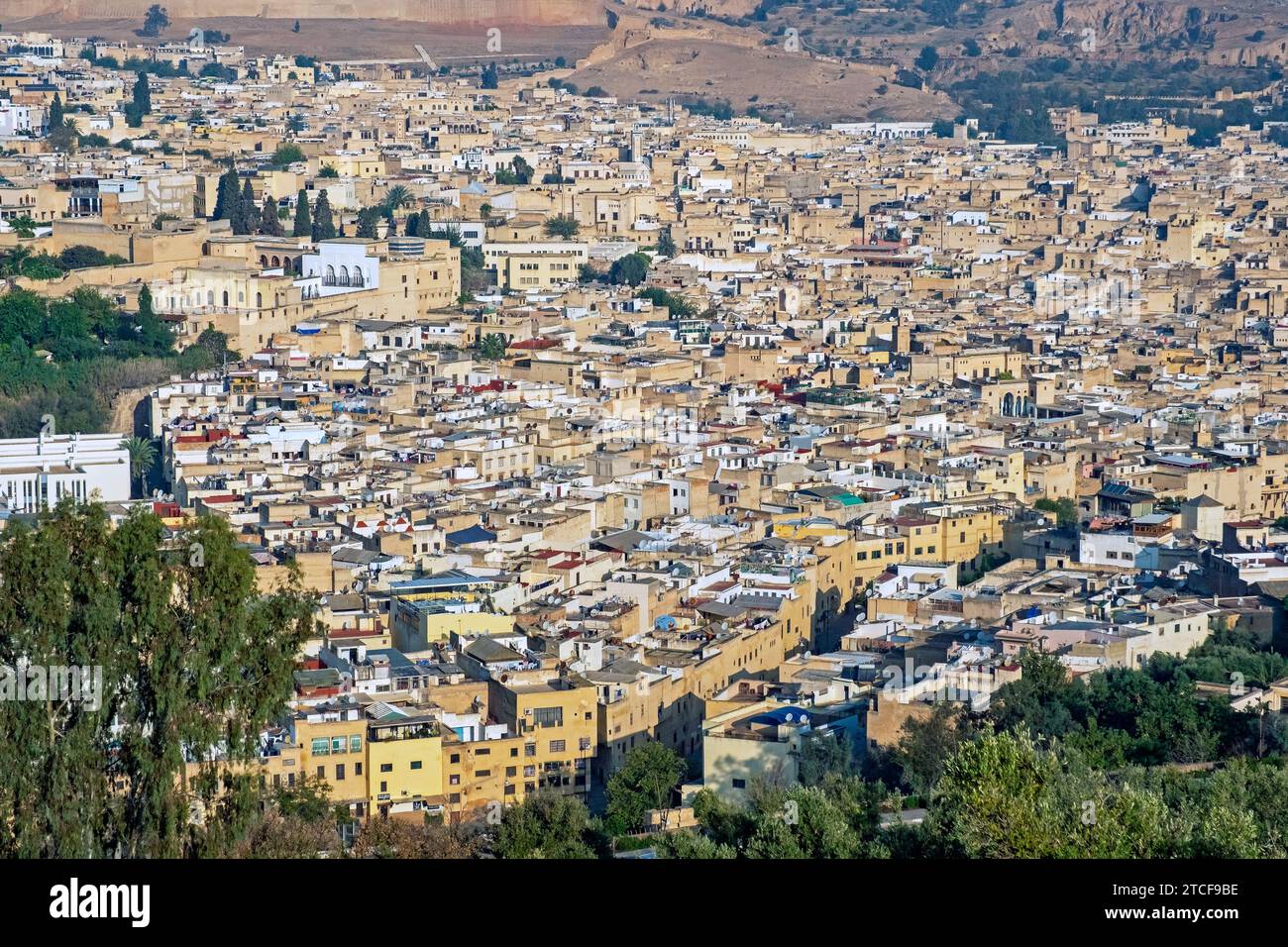 Aus der Vogelperspektive über die gelbe Medina der Stadt Fes / Fès, Fès-Meknes, Marokko Stockfoto