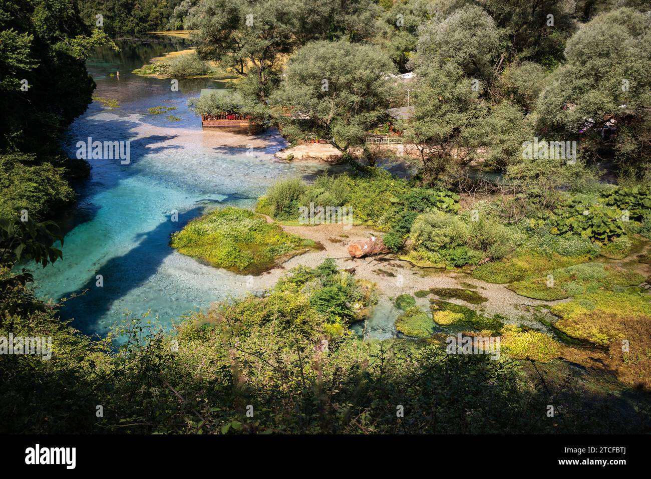 Clear Water River in Blue Eye. Wunderschöner Blick über Wasser und Natur mit grünen Bäumen in Südalbanien. Stockfoto