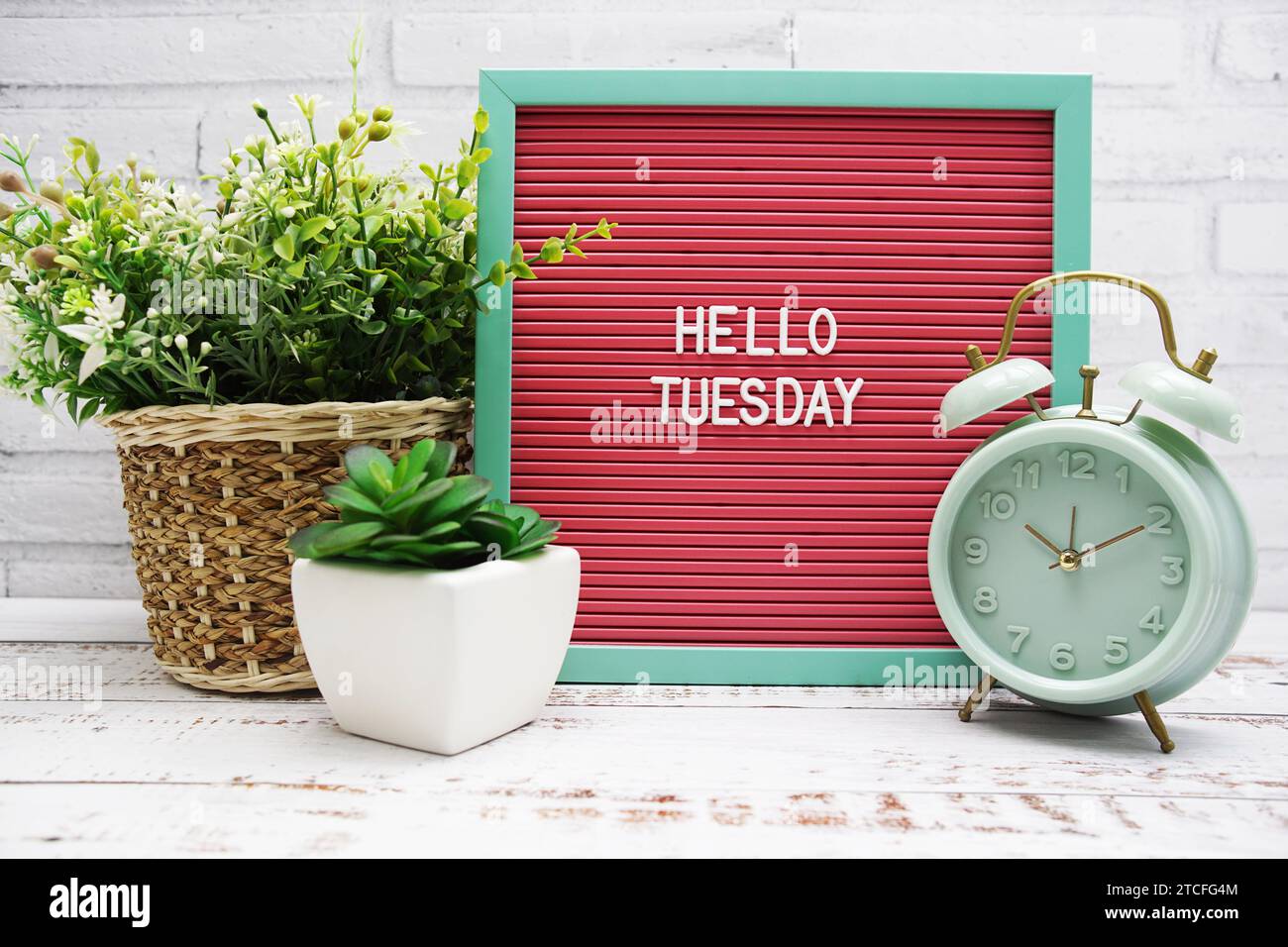 Hallo-Dienstag-Text auf Brieftafel mit Alarmtafel und künstlicher Pflanzendekoration Stockfoto
