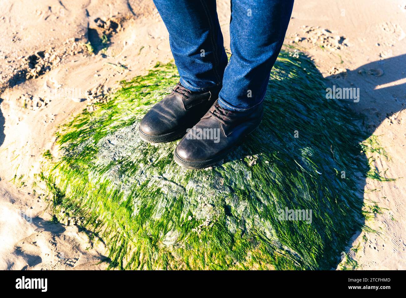 Eine Nahaufnahme der Füße einer Frau in Stiefeln und blauen Jeans, die auf einem mit grünen Algen bedeckten Stein stehen, zeigt das Konzept von Outdoor-Abenteuern und Ex Stockfoto