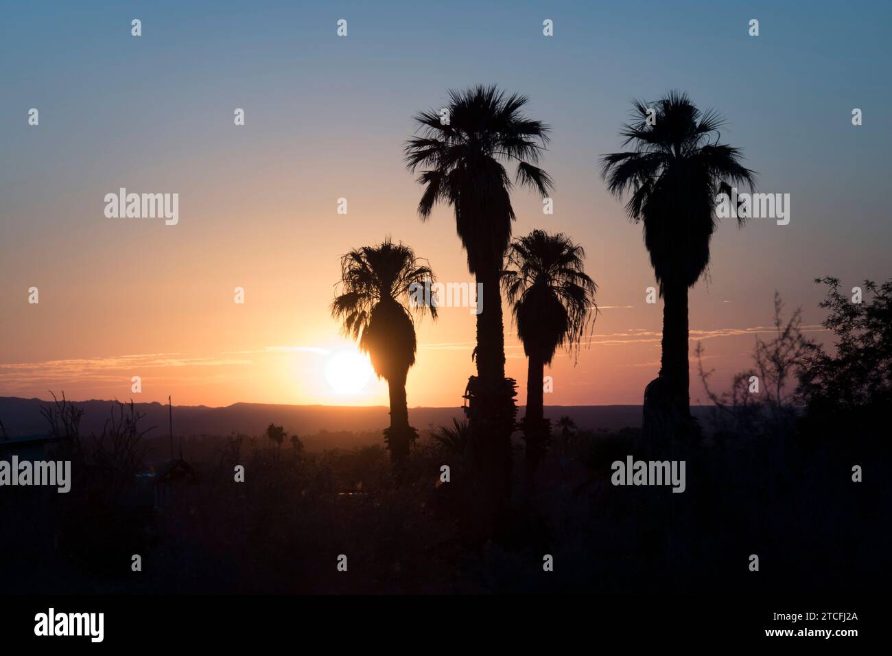 Sonnenaufgang über Anza Borrego Springs, Kalifornien. Stockfoto