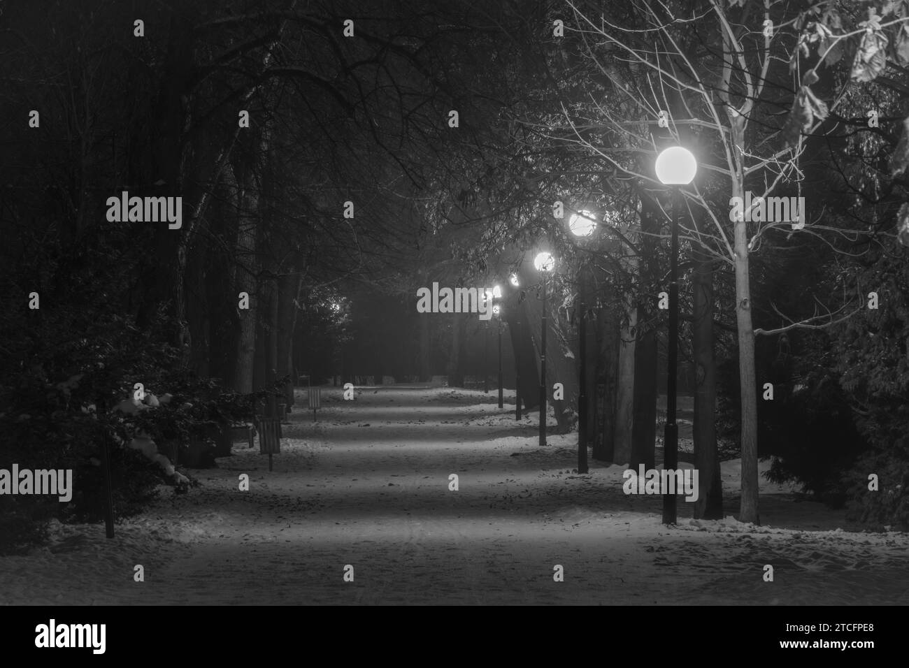 Morgenpark der nordböhmischen Stadt in der Nacht im dunklen Louny CZ 12 09 2023 Stockfoto