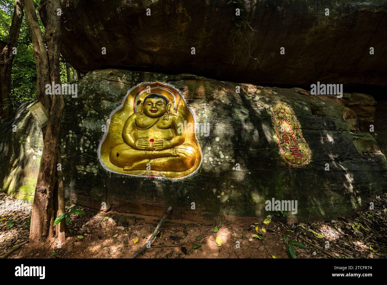 Wat Khao Chan Ngam (Wat Loet Sawat), Relief Gottes auf natürlichem Felsbrocken, Felsschnitzerei, Nakhon Ratchasima, Isan, Thailand, Südostasien, Asien Stockfoto