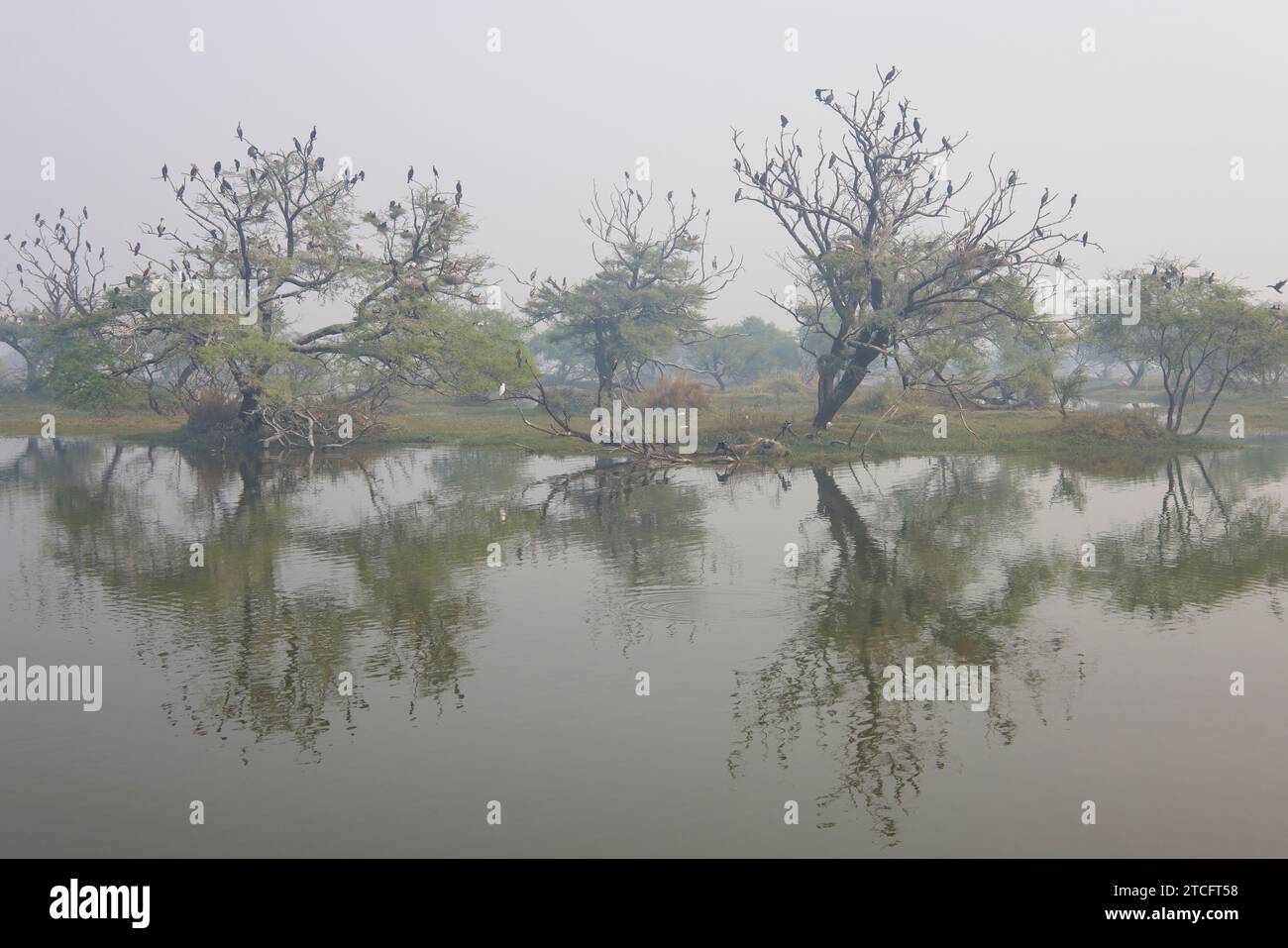 Malerischer Blick auf den Keoladeo-Nationalpark in der Nähe von Bharatpur, Rajasthan, Indien. Ein weithin bekanntes Vogelschutzgebiet. Stockfoto