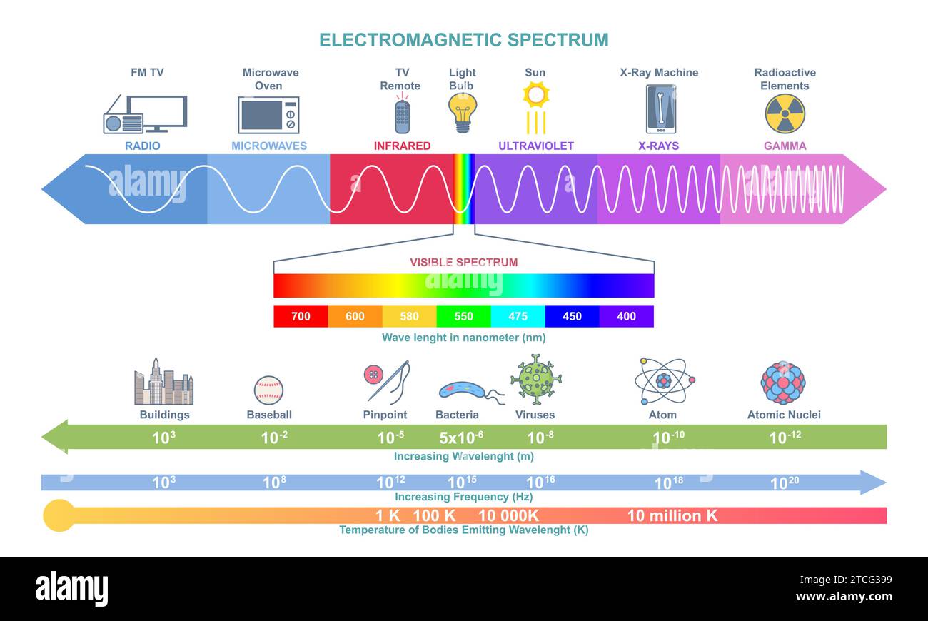 Infografisches Vektorkonzept des elektromagnetischen Spektrums Stock Vektor