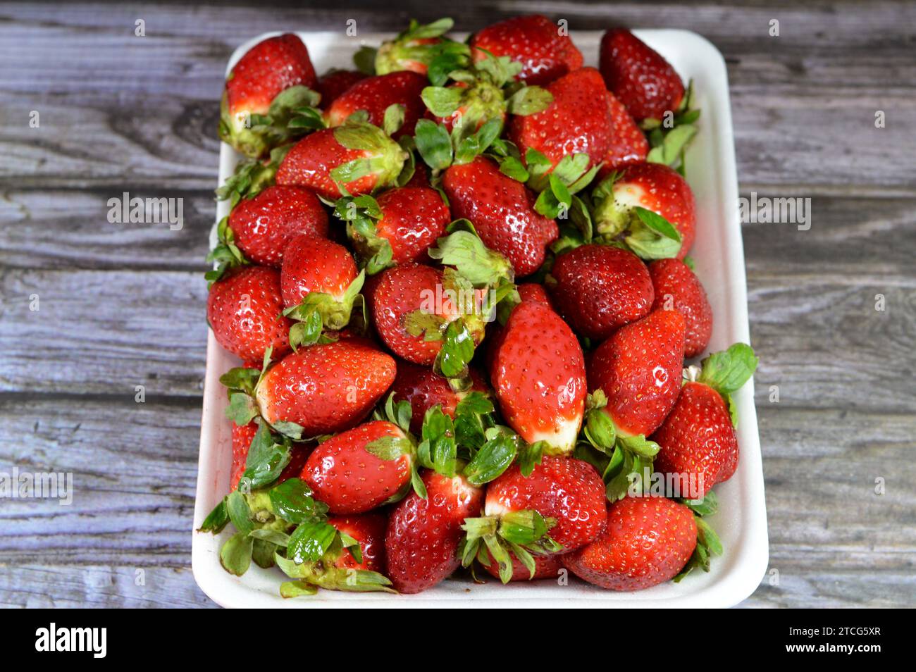 Haufen frischer Erdbeeren, die Gartenerdbeere ist eine weit verbreitete Hybridart der Gattung Fragaria ananassa mit ihrem charakteristischen Aroma, Stockfoto
