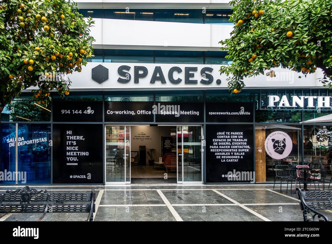 Spaces Co-Working Space Büros mit Zitrusbäumen in Sevilla, Spanien. Stockfoto