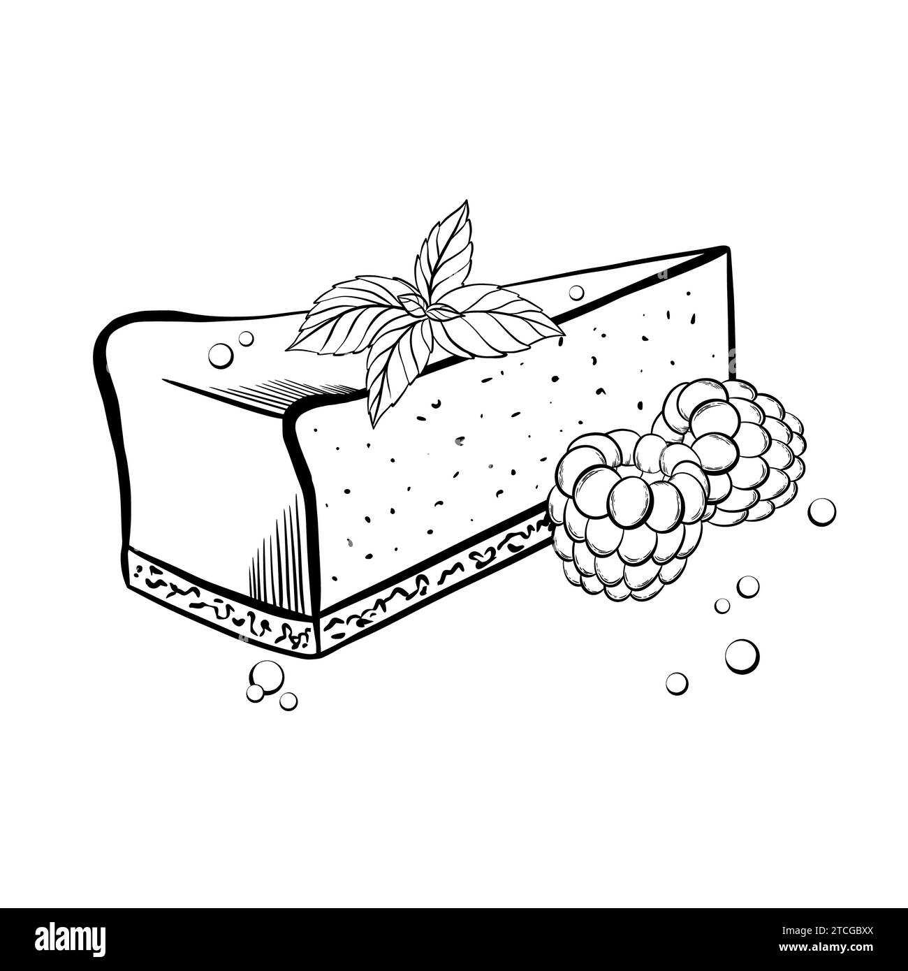 Stück Käsekuchen mit Minzblättern und Beeren. Vektorabbildung. Grapgischer STYLE. Handgezeichnet in einem einfachen minimalistischen Stil. Kann in der Küche verwendet werden Stock Vektor