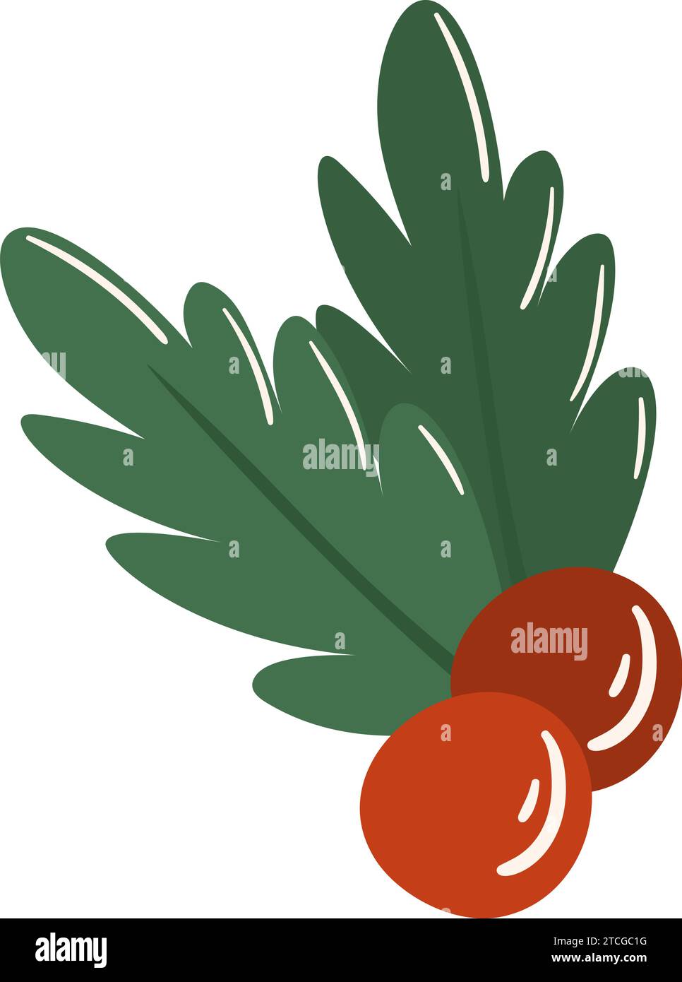 Ein stechpalmenzweig mit roten Beeren Stock Vektor