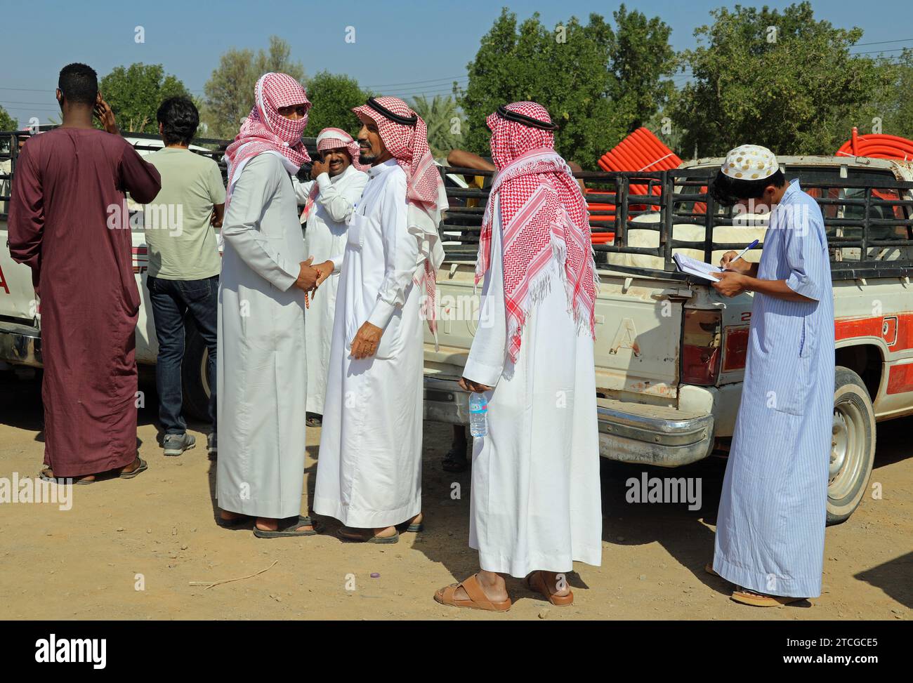 Viehhändler bei einer Straßenauktion in Saudi-Arabien Stockfoto