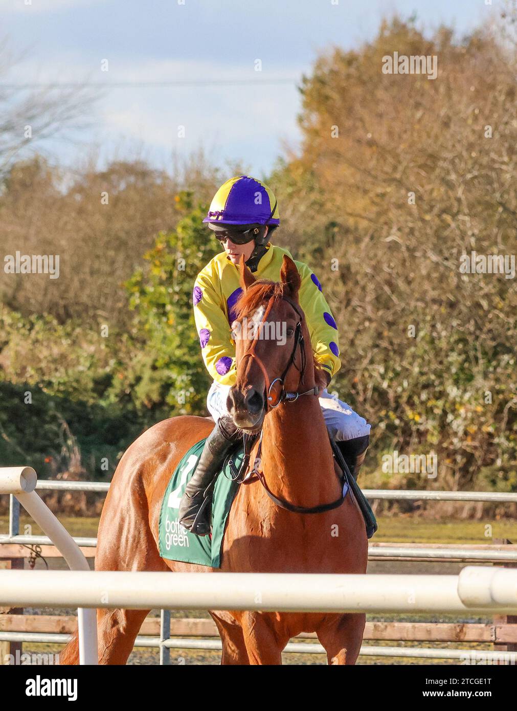 Die Royal Racecourse, Lisburn, Nordirland. November 2023. Ladbrokes Festival of Racing (Tag 1) - die BOTTLEGREEN HÜRDE (KLASSE 3). Rennpferd Sir Allen (2), geritten von Jockey Rachael Blackmore und trainiert von Andrew Slattery. Stockfoto