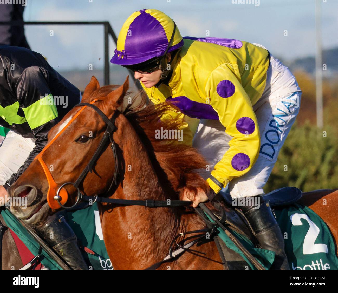 Die Royal Racecourse, Lisburn, Nordirland. November 2023. Ladbrokes Festival of Racing (Tag 1) - die BOTTLEGREEN HÜRDE (KLASSE 3). Rennpferd Sir Allen (2), geritten von Jockey Rachael Blackmore und trainiert von Andrew Slattery. Stockfoto