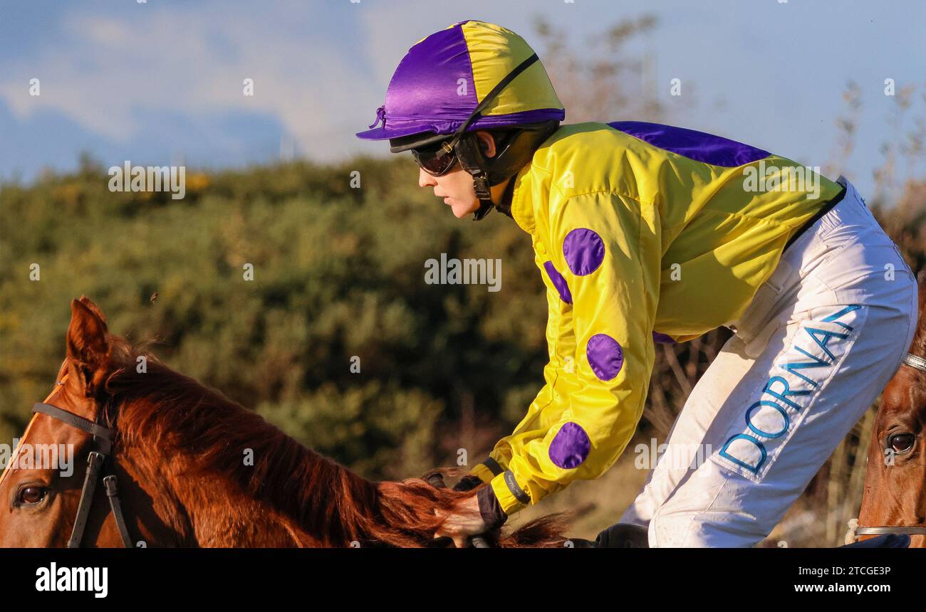 die-royal-racecourse-lisburn-nordirland-november-2023-ladbrokes