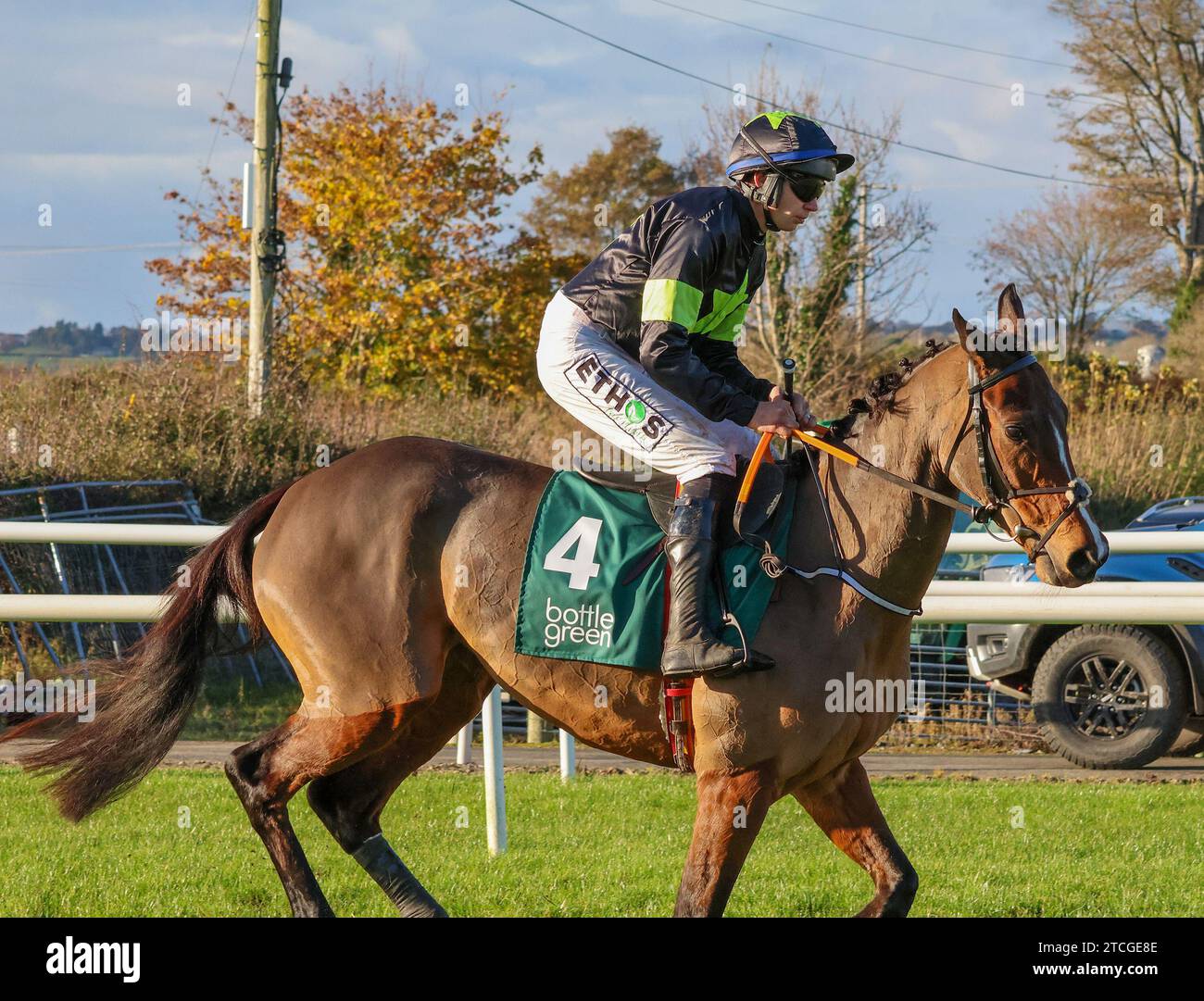 Die Royal Racecourse, Lisburn, Nordirland. November 2023. Ladbrokes Festival of Racing (Tag 1) - die BOTTLEGREEN HÜRDE (KLASSE 3). Rennpferd Magical Zoe (4), geritten von Jockey A P Heskin. Stockfoto