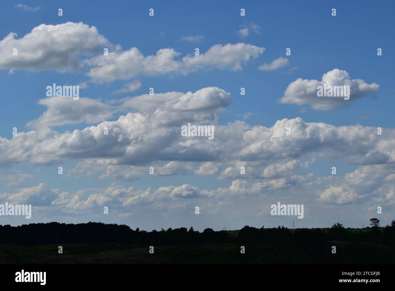 Weiße, mehrschichtige Kumuluswolken an einem sonnigen Sommertag am blauen Himmel über einer dunklen Silhouette der darunter liegenden Landschaft Stockfoto