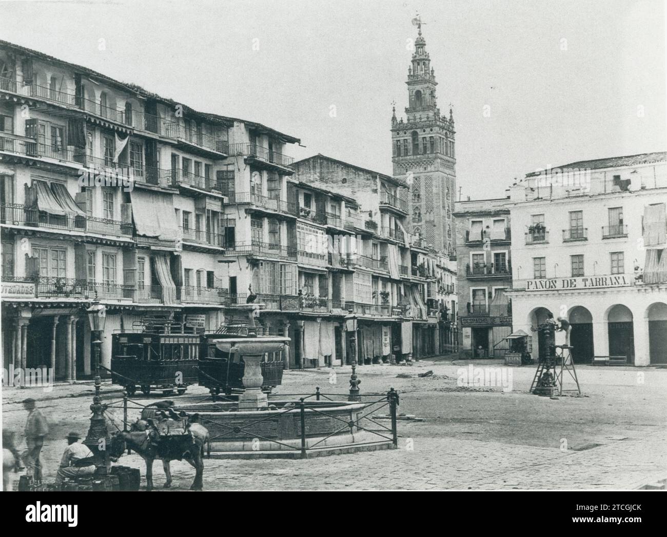 Sevilla, 1865. Die Plaza de San Francisco mit der Giralda im Hintergrund. Quelle: Album / Archivo ABC / Francis Frith Stockfoto