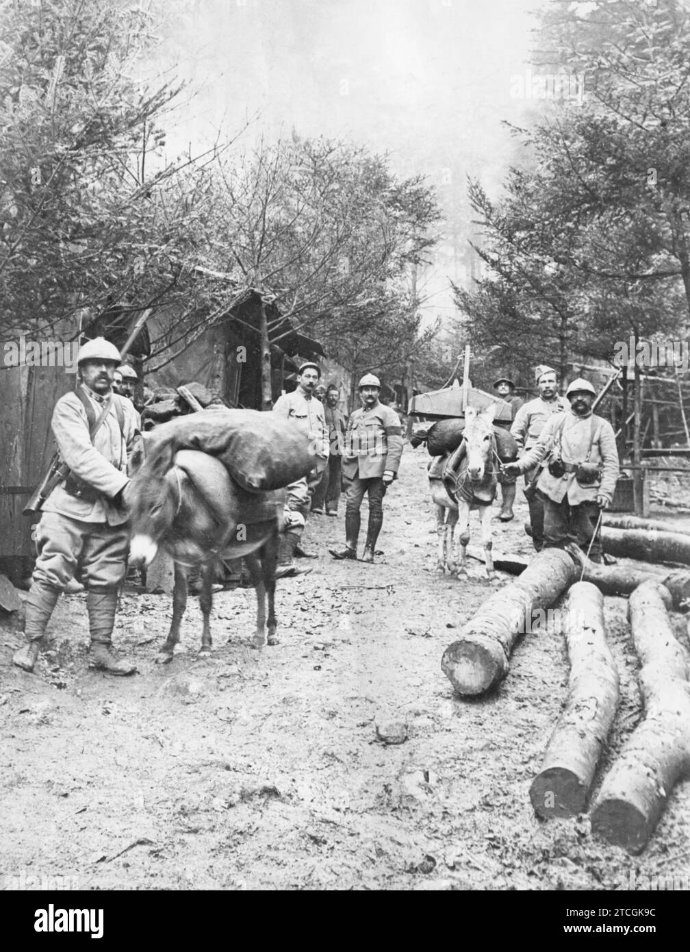 11/30/1916. Die Franzosen im Krieg. Küchenservice, organisiert durch Borriquillos. Quelle: Album / Archivo ABC / Louis Hugelmann Stockfoto