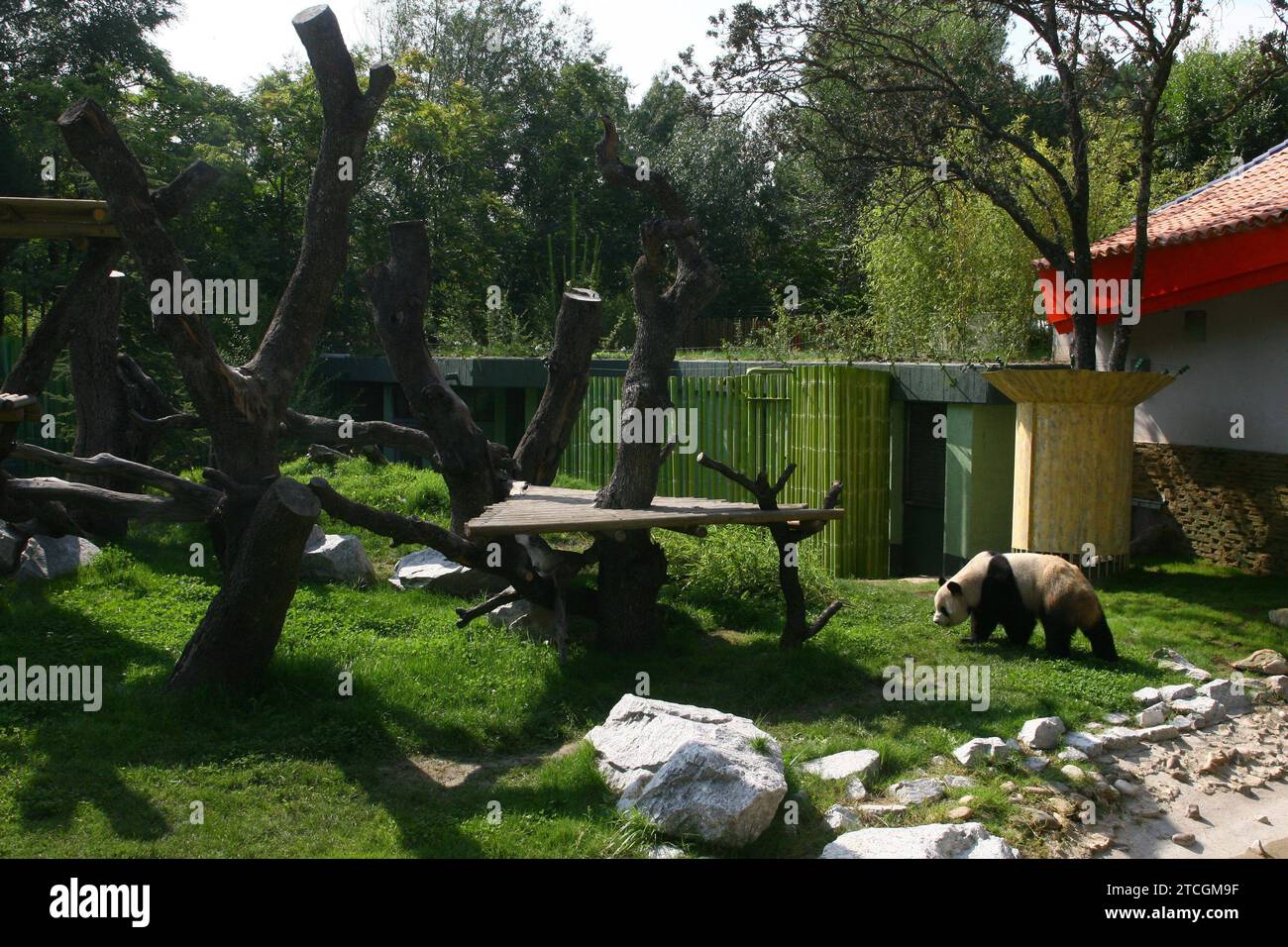 Madrid 09-19-2007 Offizielle Präsentation des Paares von Riesenpandas aus dem Zoo des Aquariums von Madrid unter dem Vorsitz Ihrer Majestät Königin Sofia, begleitet von Bürgermeister Alberto Ruiz Gallardon Foto Jaime Garcia Archdc. Quelle: Album / Archivo ABC / Jaime García Stockfoto