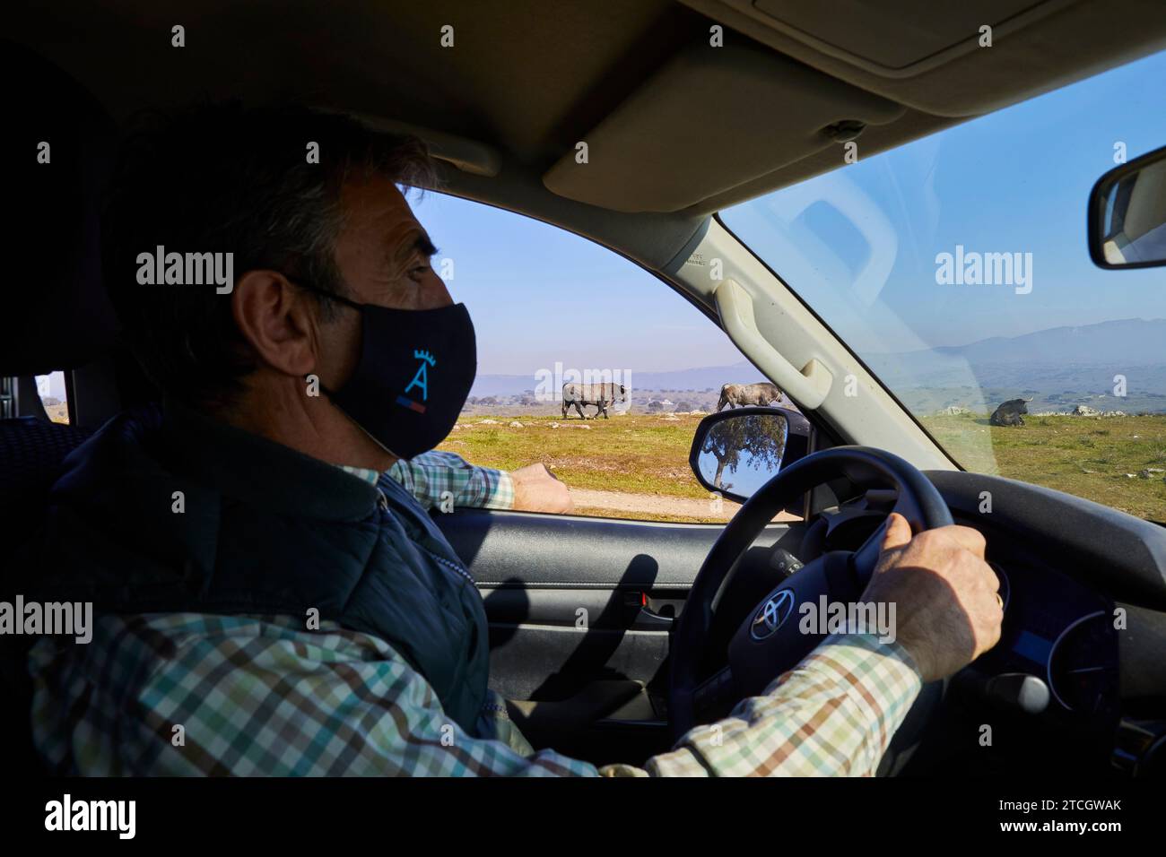 Portezuelo (Cáceres), 14.01.2021. Victorino Martín im Las Tiesas de Santa María? Farm, Hauptquartier seiner kämpfenden Bullenranch. Foto: Guillermo Navarro ARCHDC. Quelle: Album / Archivo ABC / Guillermo Navarro Stockfoto