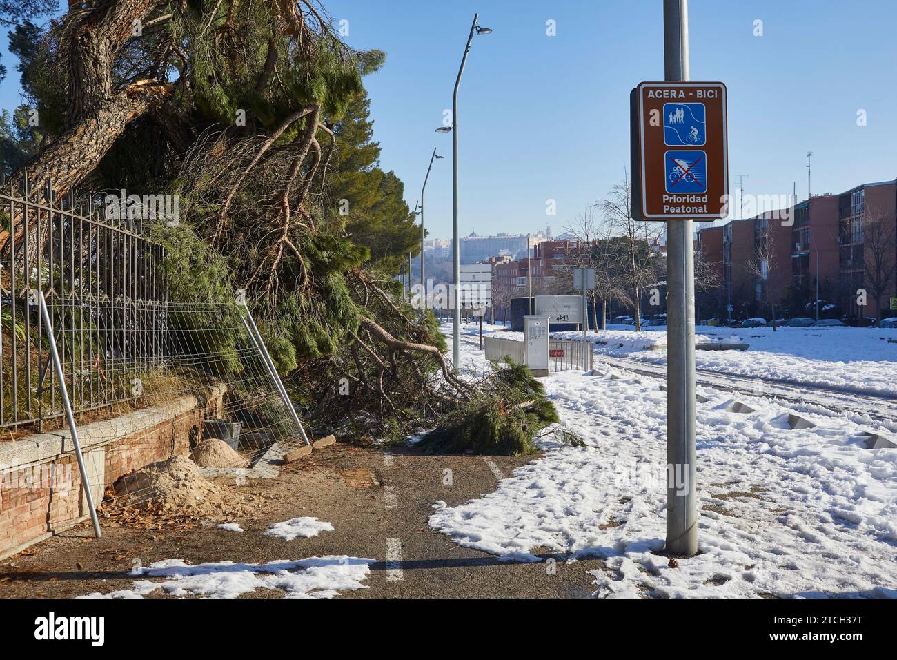 Madrid, 13.01.2020. Cottage. Zerstörung der Bäume des Parks durch den immensen Schneefall, der durch den Sturm Filomena hinterlassen wurde. Stadtarbeiter entfernen Eis und abgefallene Äste von den Straßen des Parks. Foto: Guillermo Navarro. ARCHDC. Quelle: Album / Archivo ABC / Guillermo Navarro Stockfoto