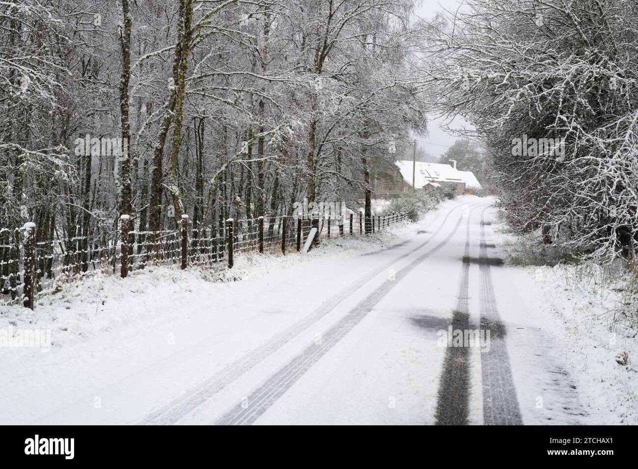 Schneebedeckte Straße. Grantown auf Spey, Highlands, Schottland Stockfoto