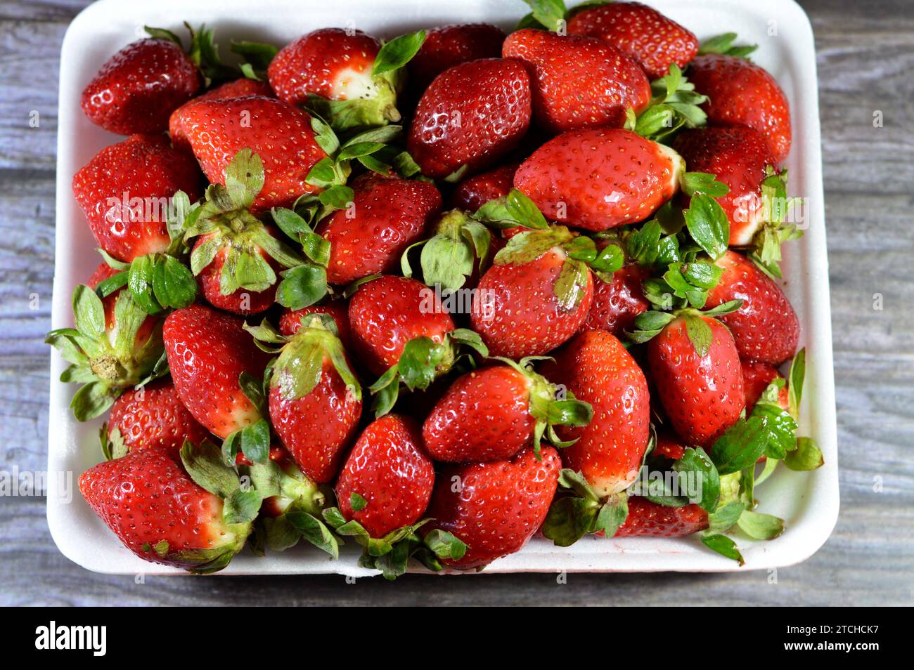 Haufen frischer Erdbeeren, die Gartenerdbeere ist eine weit verbreitete Hybridart der Gattung Fragaria ananassa mit ihrem charakteristischen Aroma, Stockfoto