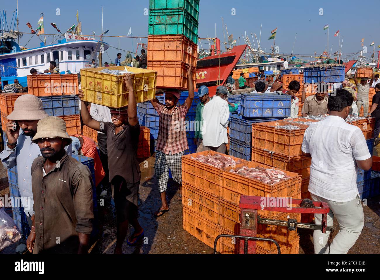 Im alten Hafen von Mangalore, Karnataka, Indien, mit Männern, die Fischkisten auf ihren Köpfen tragen Stockfoto