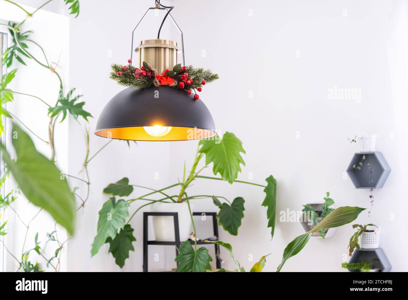 Schwarzer Retro-Metalllampenschirm im Loft-Stil mit weihnachtlicher Einrichtung und vielen Zimmerpflanzen an einem Fenster in einem weißen Innenraum. Neues Jahr, Komfort zu Hause Stockfoto
