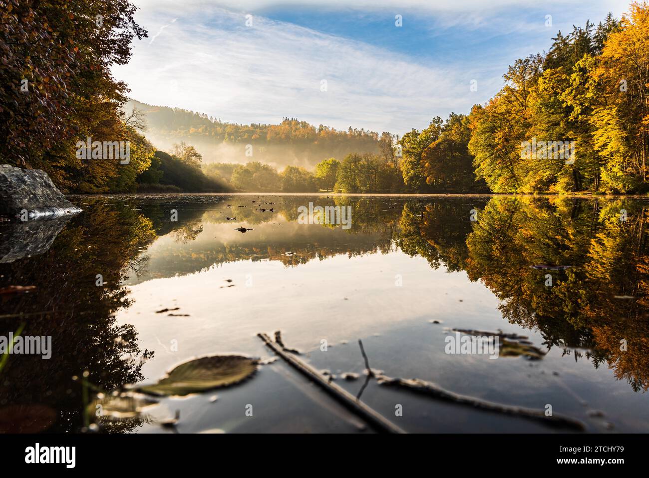 Nebelseen mit Herbstlaub und Baumspiegelungen in der Steiermark, Thal, Österreich. Herbstmotiv. Arnold Schwarzenegger Trainingsplatz Stockfoto