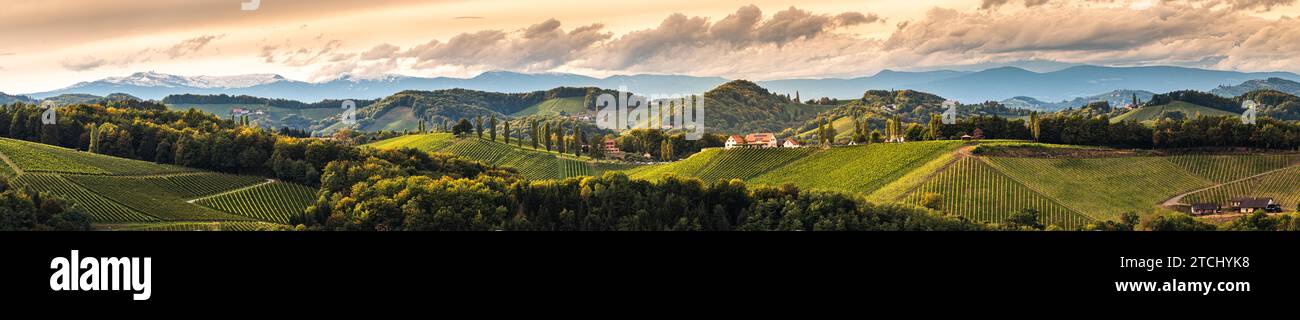 Weinberge Panorama in der Südsteiermark, Anfang Herbst. Österreich-Toskana-ähnliches Spot Stockfoto