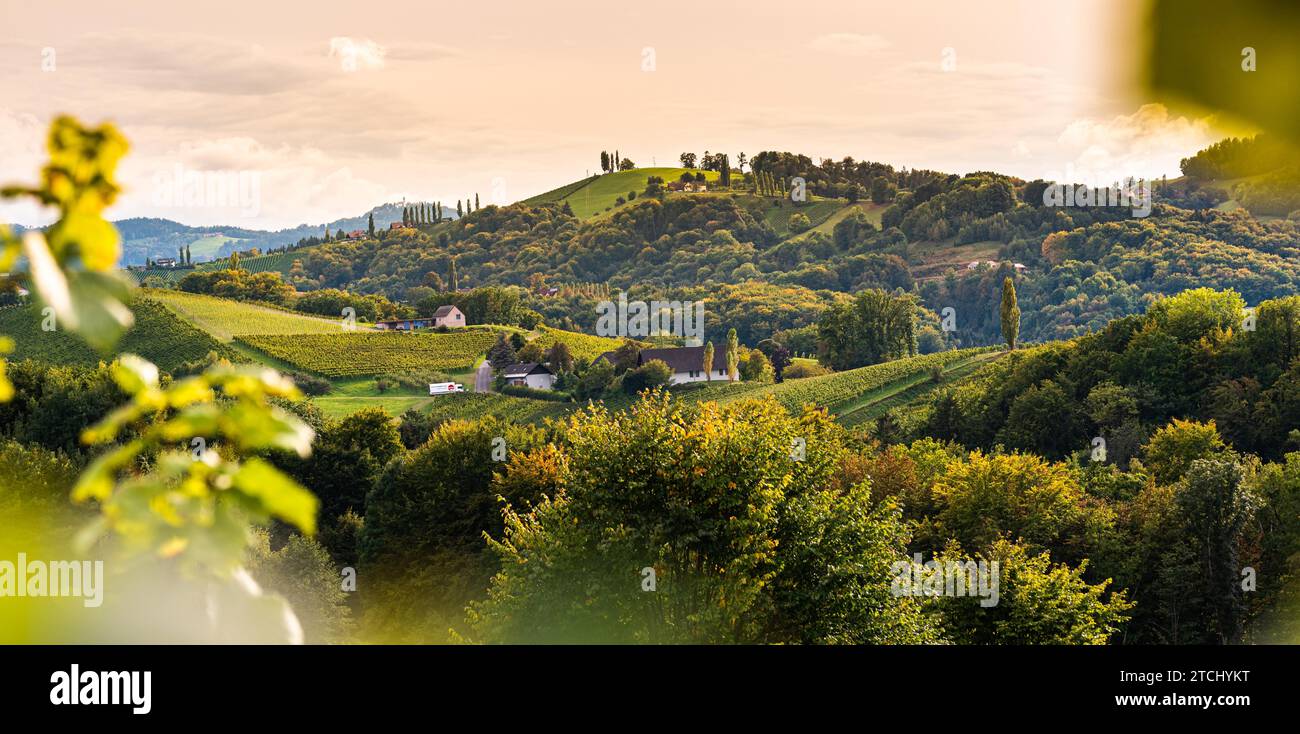 Weinberge in der Südsteiermark, Anfang Herbst. Österreich-Toskana-ähnliches Spot Stockfoto