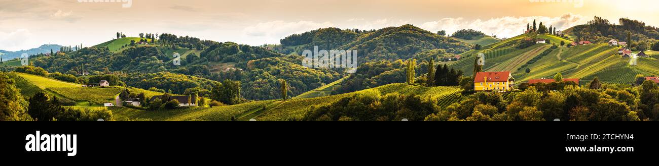 Weinberge Panorama in der Südsteiermark, Anfang Herbst. Österreich-Toskana-ähnliches Spot Stockfoto