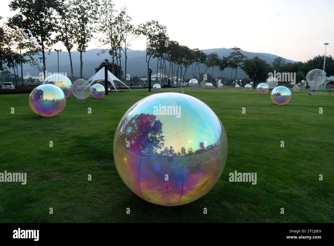 CHIANG Mai, THAILAND - 12. Dezember 2023 : Blick auf den Blumengarten während des Neujahrsfestes beim bezaubernden Chiang Mai Blumenfest 2024, Thail Stockfoto