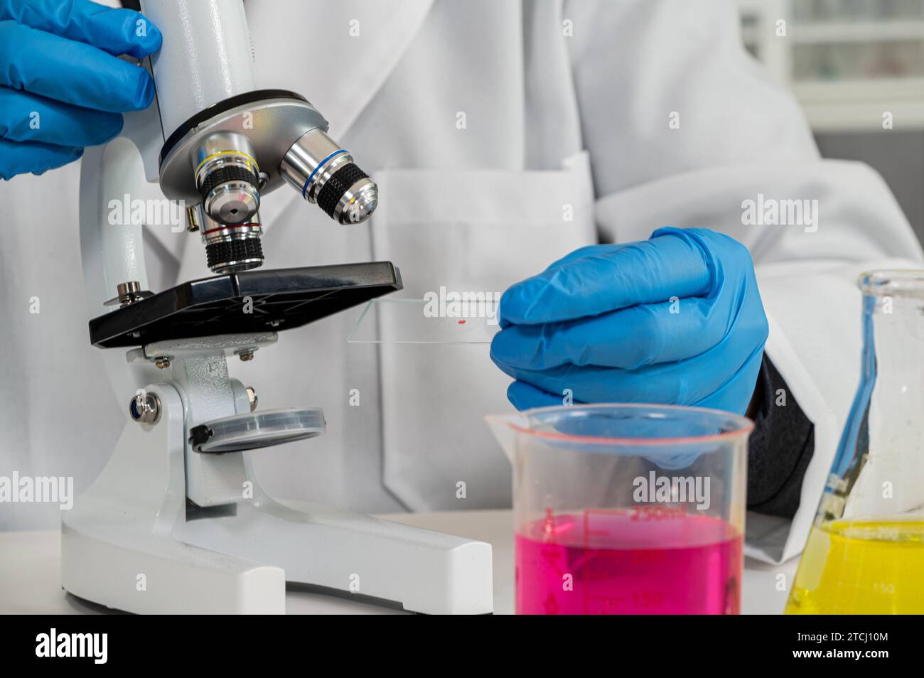 Nahaufnahme einer Wissenschaftlerin mit blauen Handschuhen und Mikroskop Stockfoto