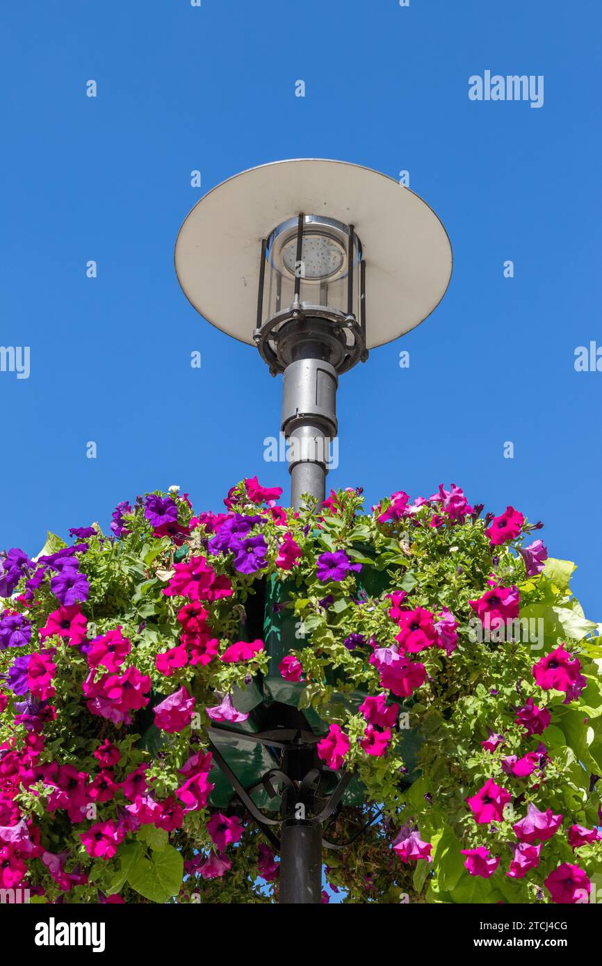 Straßenlaterne mit Blumenschmuck vor blauem Himmel in Meiningen, Thüringen Stockfoto