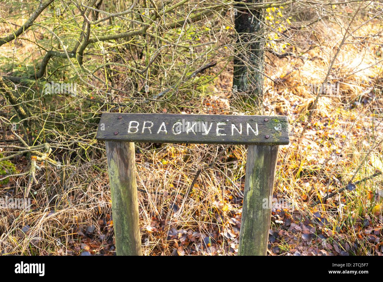 Infoschild Brackvenn auf dem Wanderweg in der Höhe Fens Stockfoto