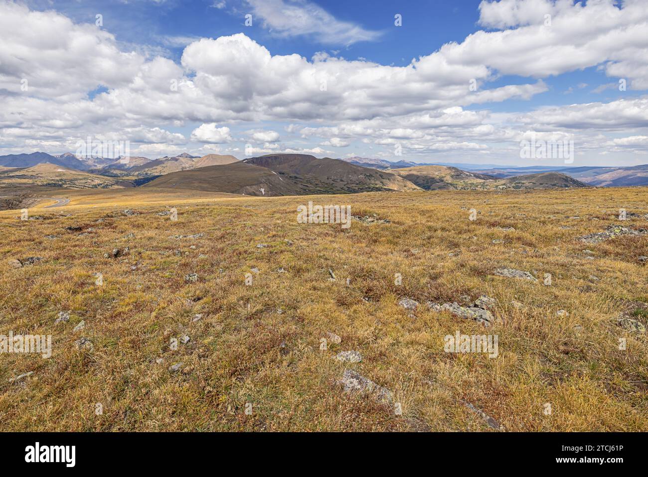 Ecosistema de tundra alpina Fotos und Bildmaterial in hoher Auflösung
