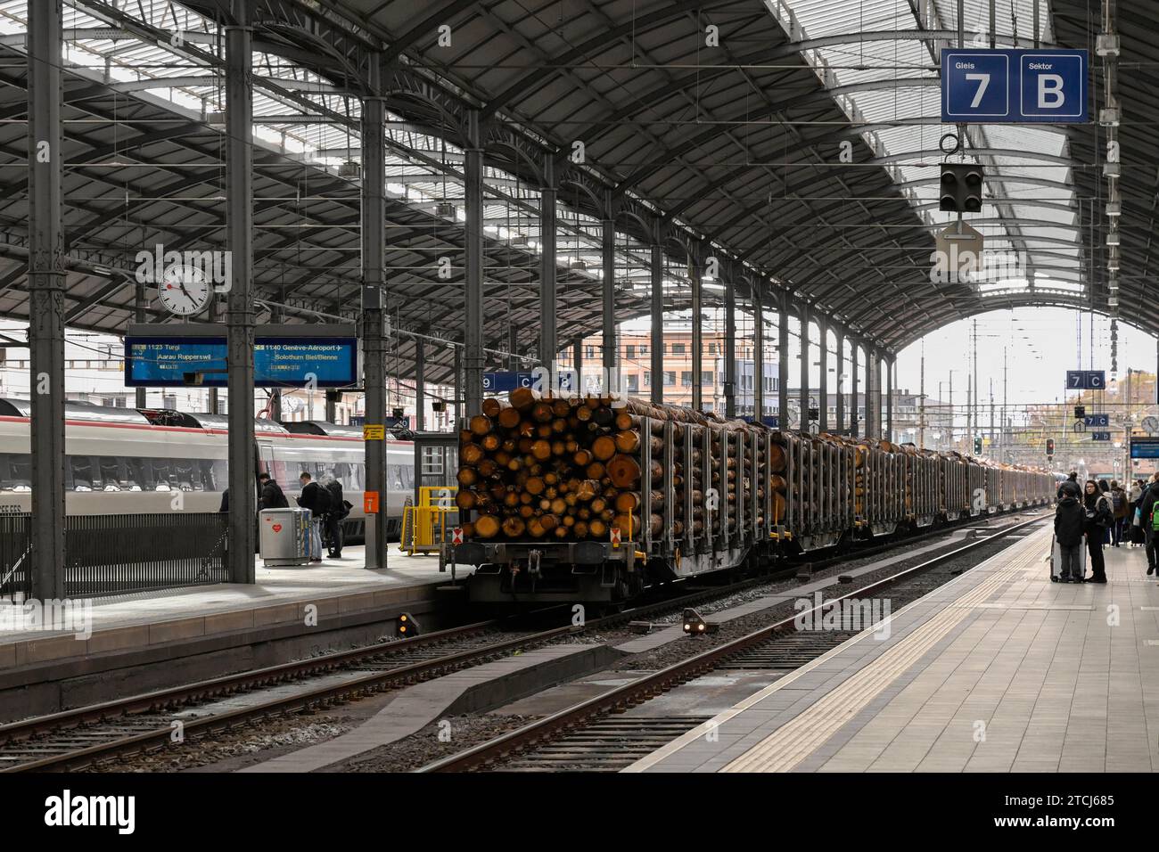 Güterzug Rundholz SBB Cargo International Stockfoto